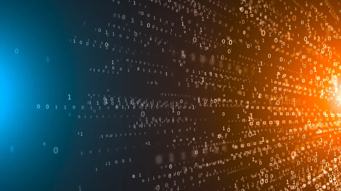 7 CEOs Share Their Insights Into Low Code/No Code Platforms