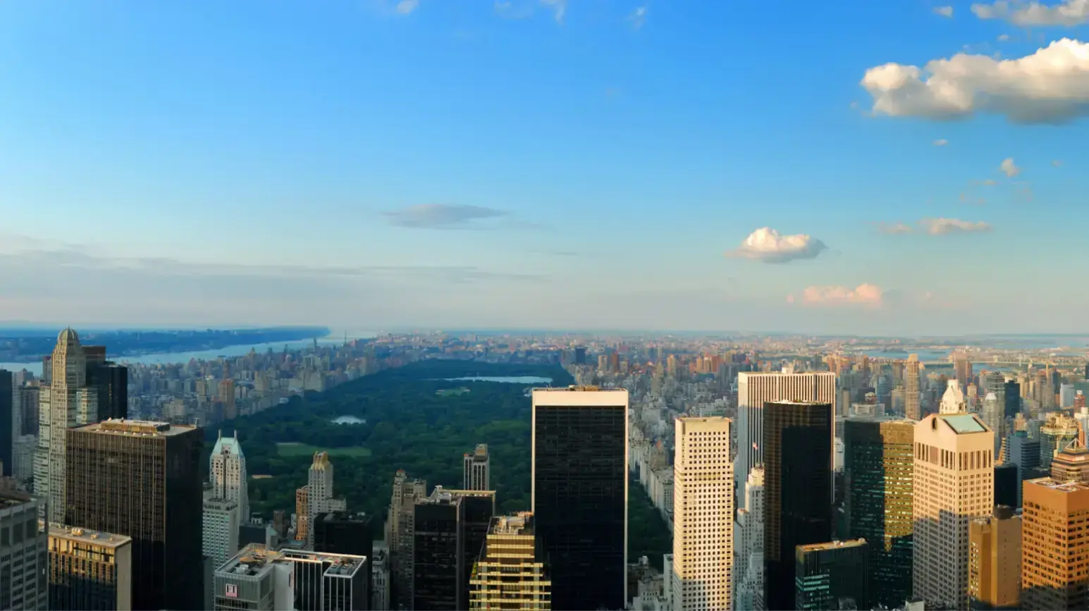 5 Businesses That Grow Easily in Big Cities