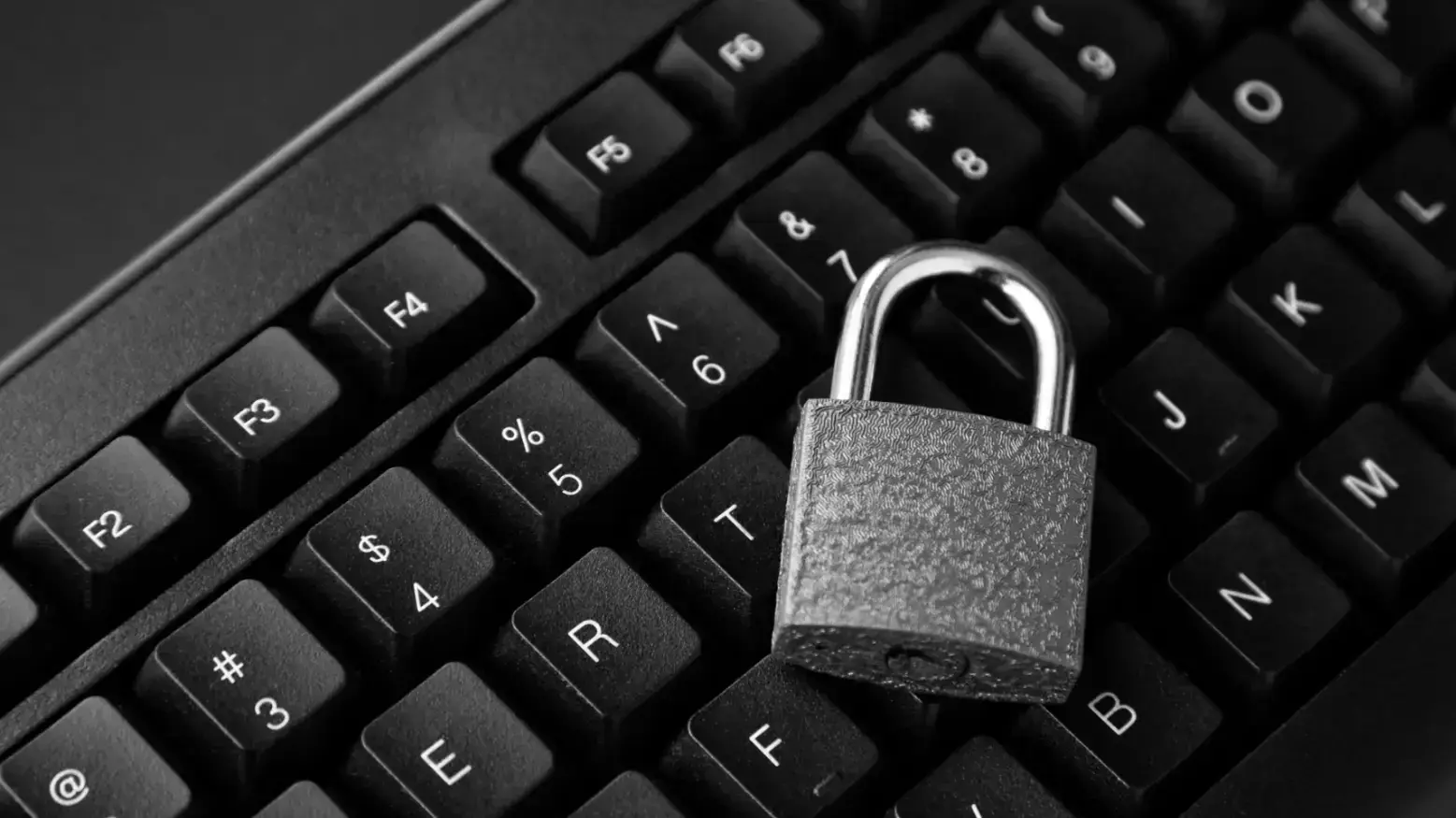 What To Include in Your E-Commerce Privacy Policy