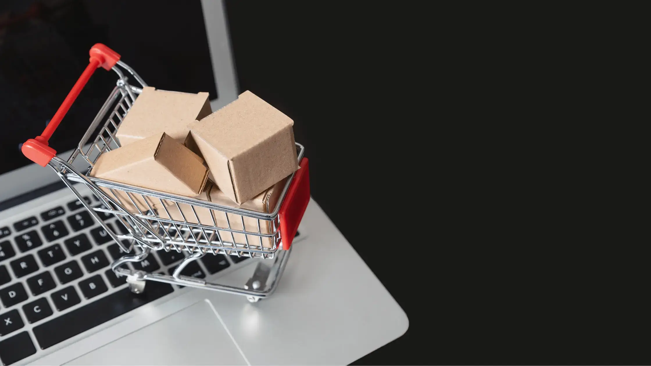 5 Successful Shopify Stores You Should Copy