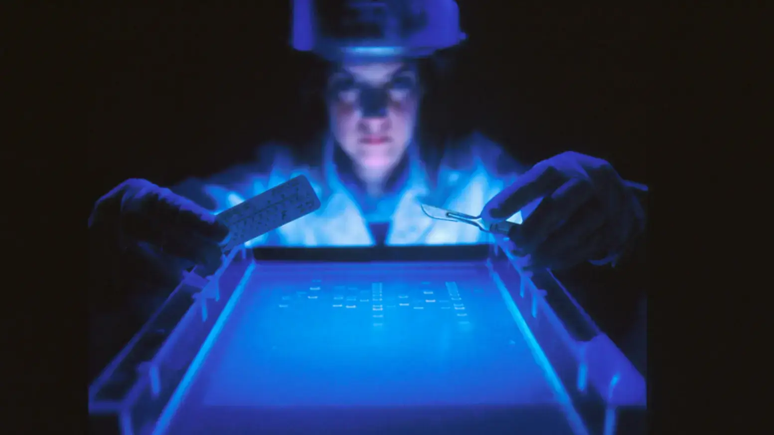 Enhancing Efficiency and Data Security in Healthcare Systems