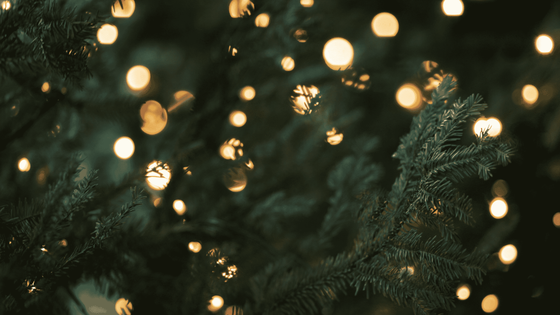 9 Actionable Online Holiday Strategies for Your eCommerce Business
