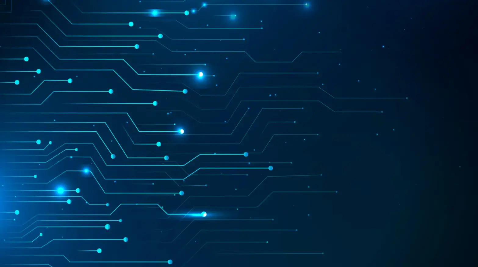 Small Business Networking Skills for The Digital Age 2024