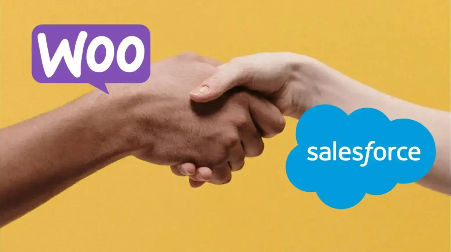 Salesforce vs WooCommerce: Which Platform is Best for Your Business?