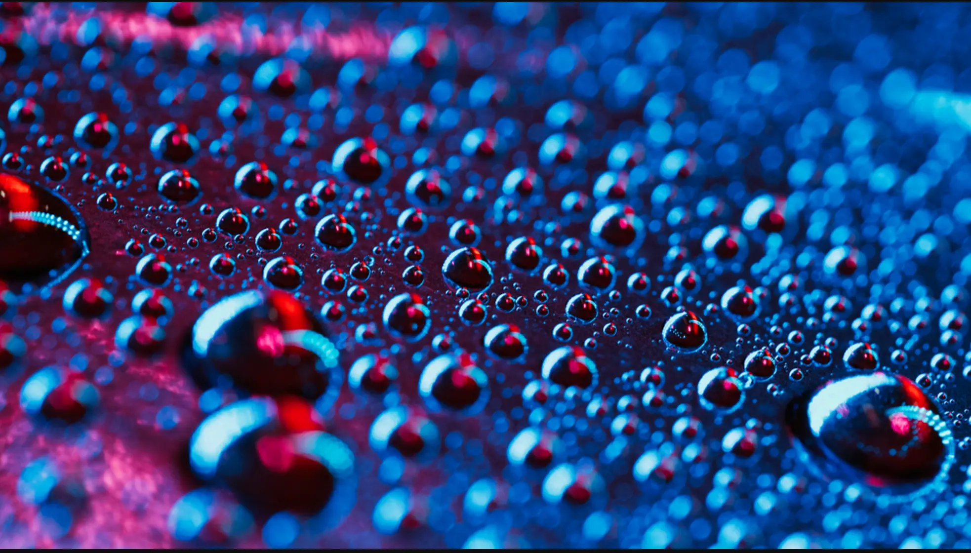 5 Email Drip Campaigns Your Business Needs