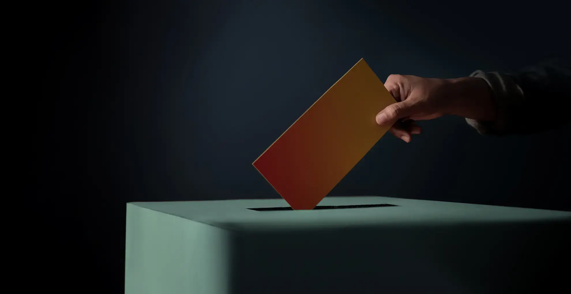 All About the WordPress Poll Plugin