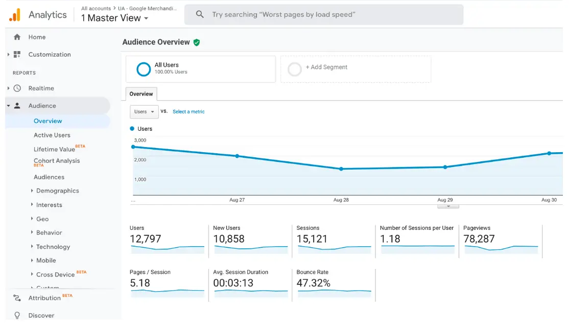 Google analytics audience overview