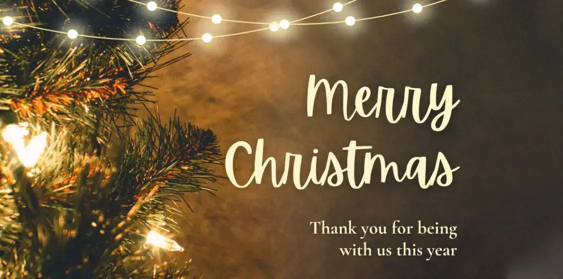 example-merry-christmas-email-newsletter