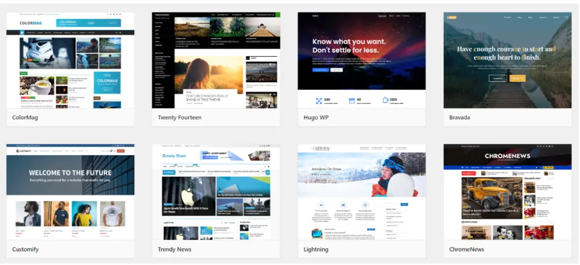 WordPress customization feature