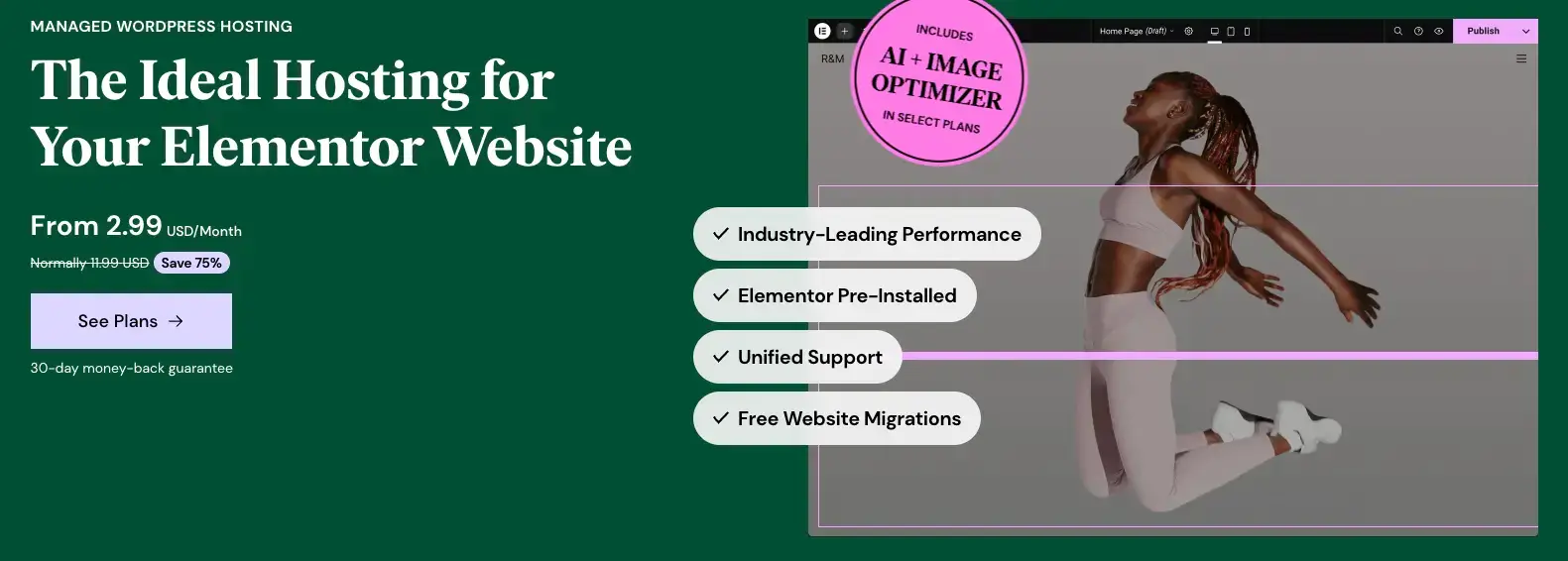 elementor-wordpress-hosting-service