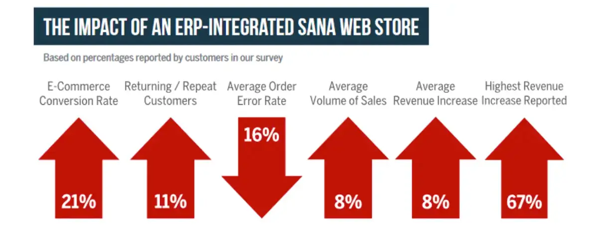 impact-of-an-erp-integrated-sana-web-store