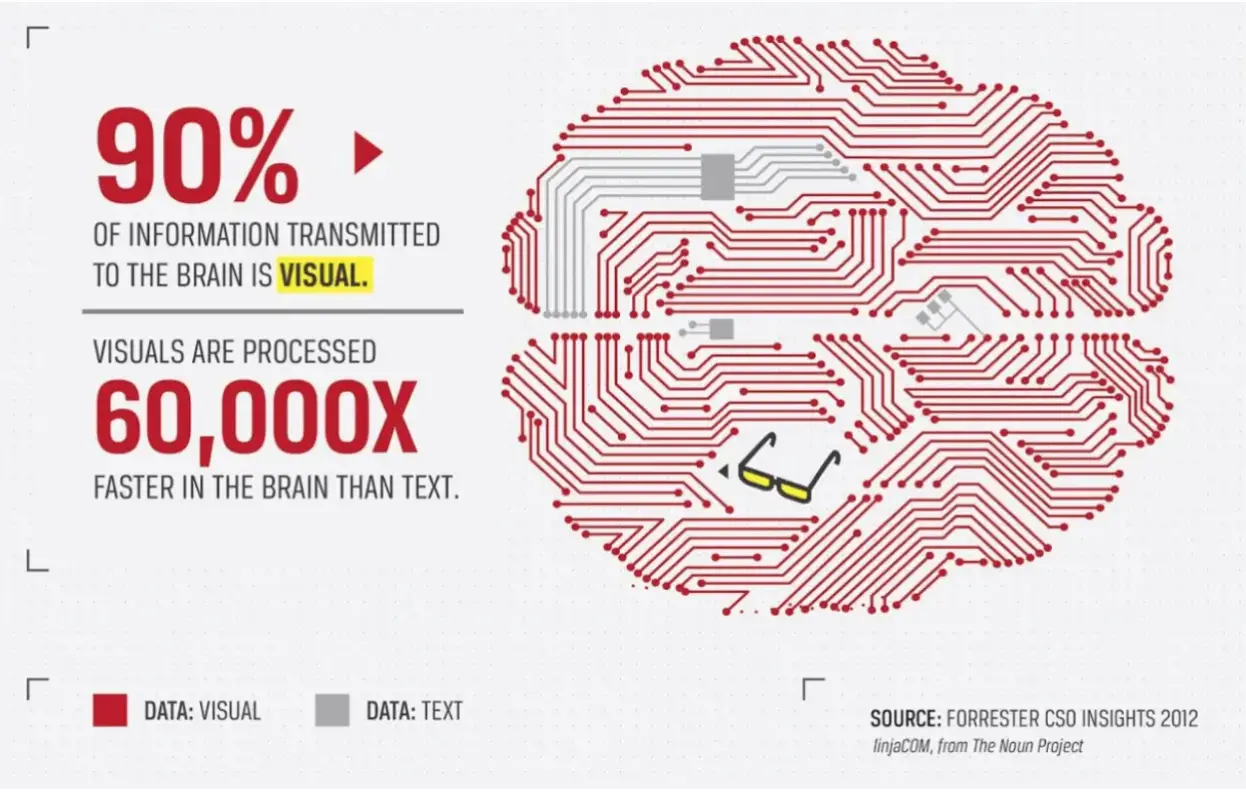 infographic-visual-data-insights-1