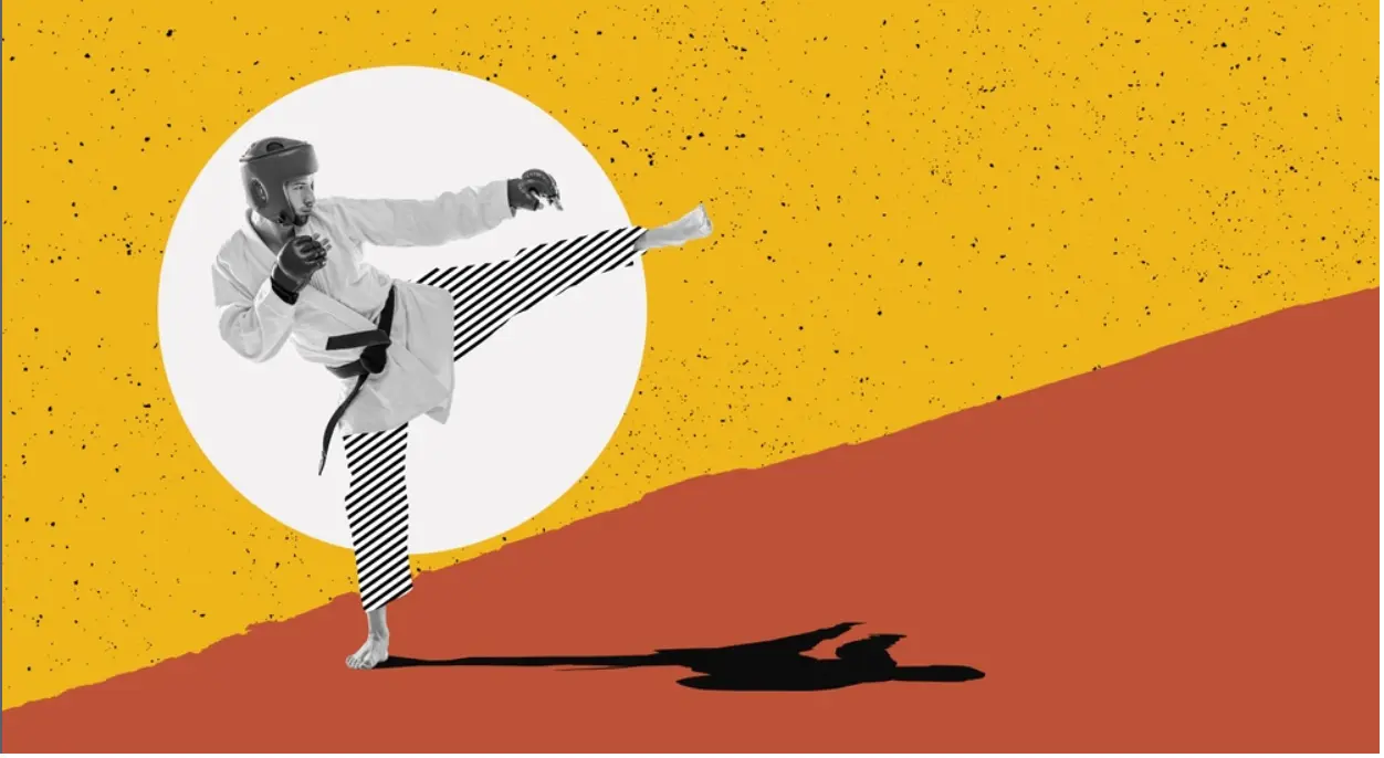 person doing karate illustration