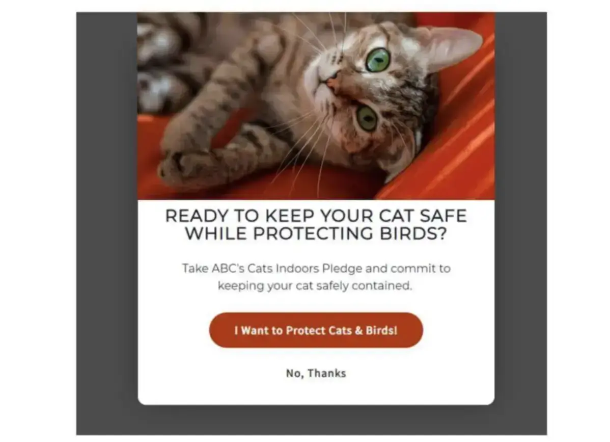 popup-for-keeping-cats-safe-while-protecting-birds