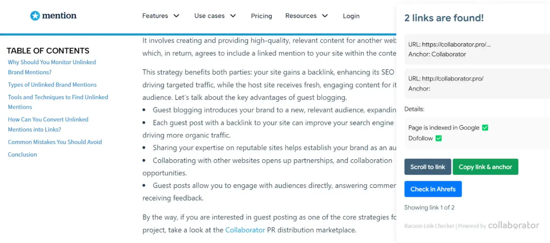 racoon-seo-link-checker