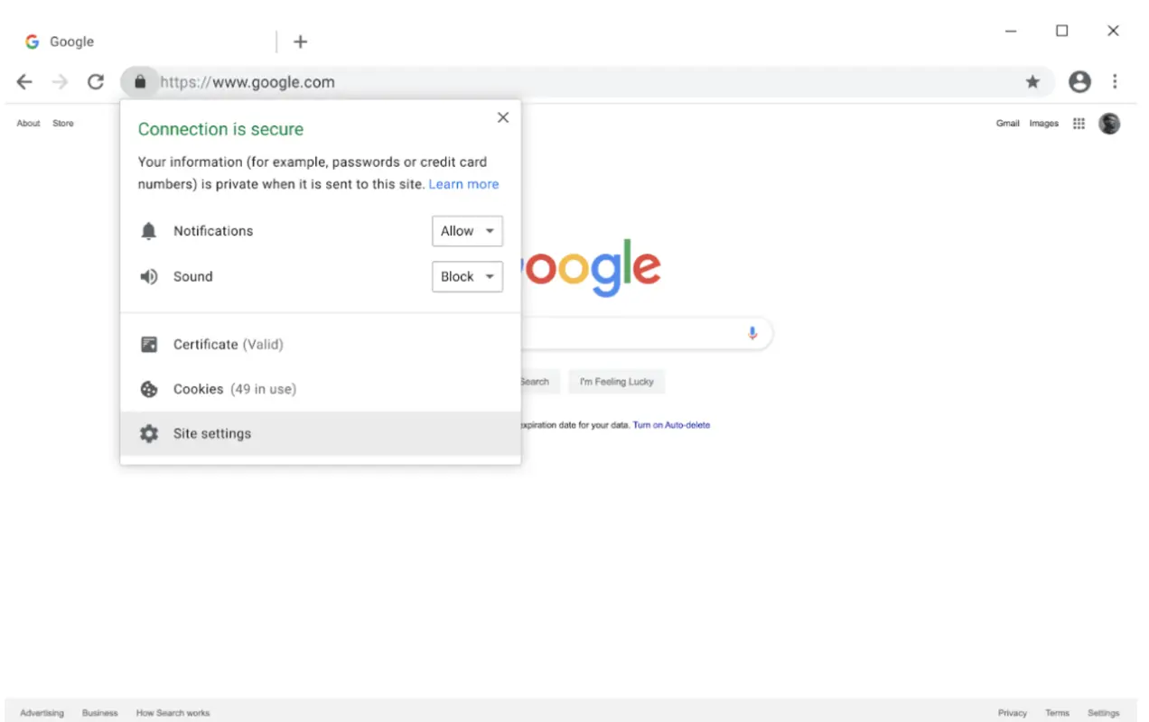 screenshot Google homepage