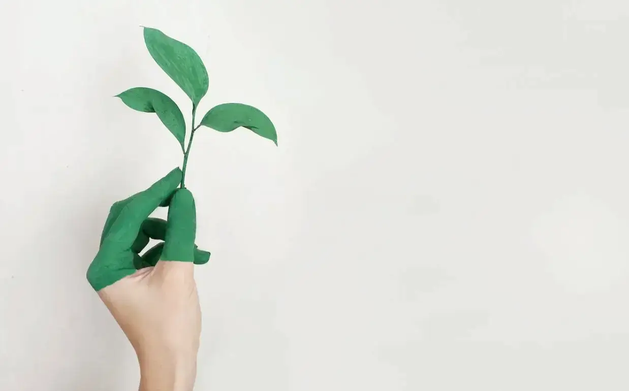 sustainability-hand-holding-green-leaf